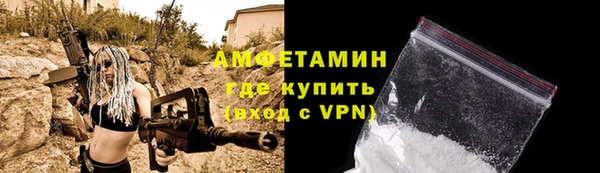 молекула духа Вяземский