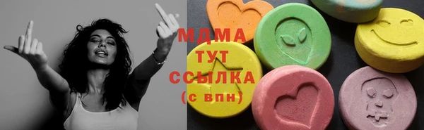 молекула духа Вяземский
