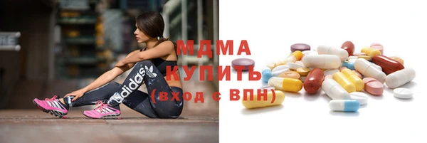 молекула духа Вяземский