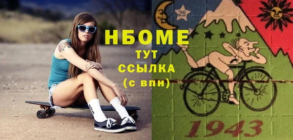 твердый Горняк