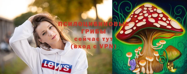 молекула духа Вяземский